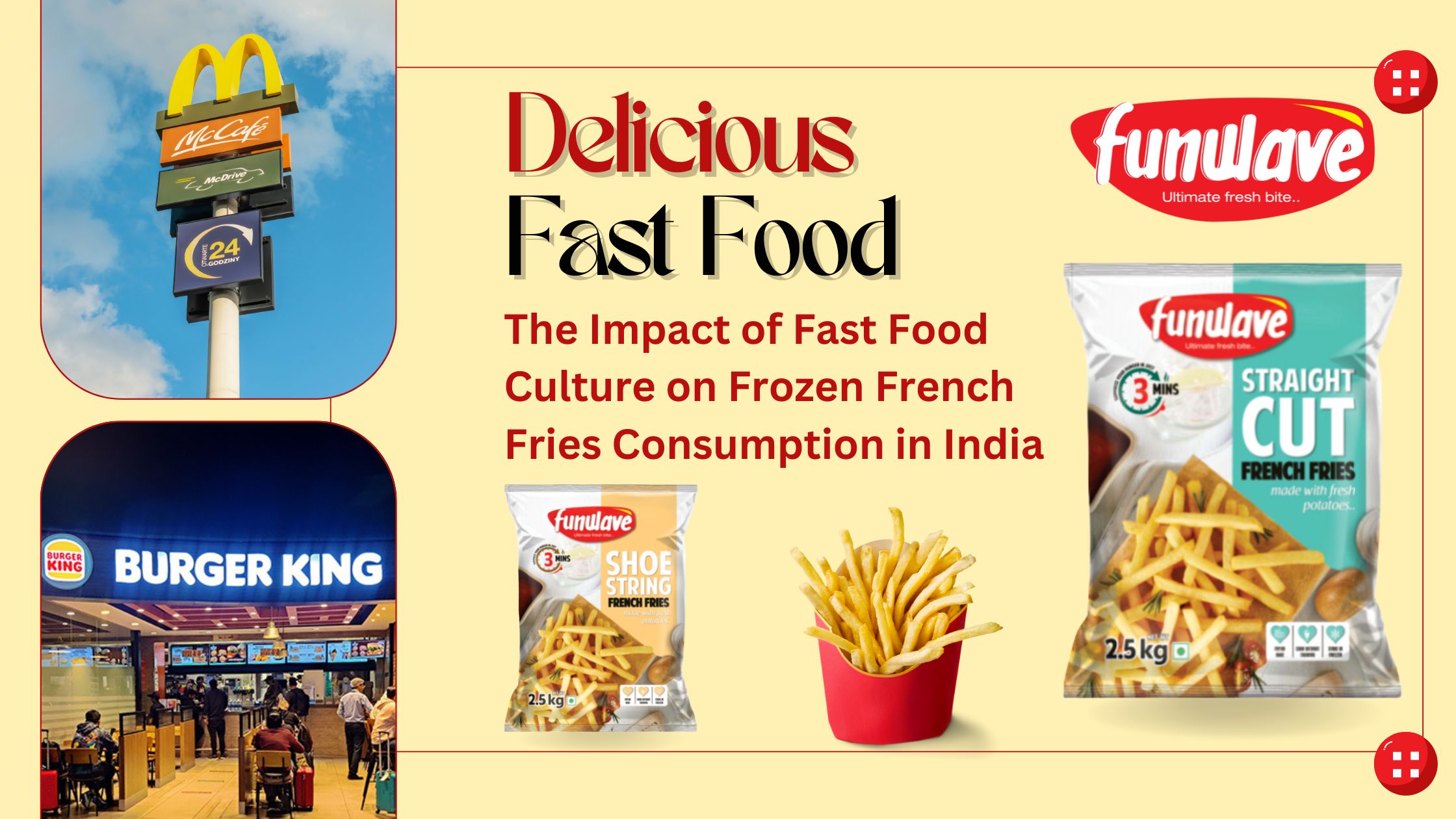 Frozen French fries for restaurants India